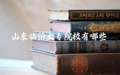 山东临沂大专院校有哪些
