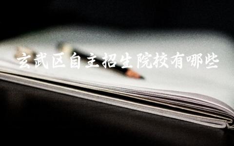 玄武区自主招生院校有哪些