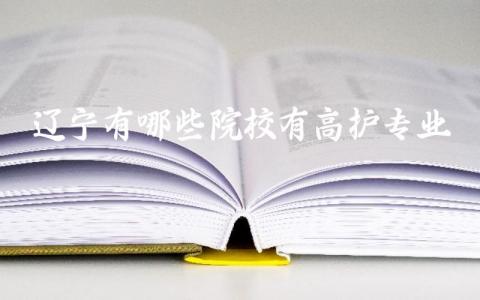 辽宁有哪些院校有高护专业