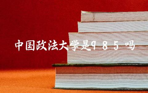 中国政法大学是985吗