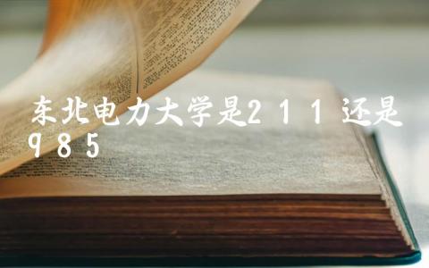 东北电力大学是211还是985