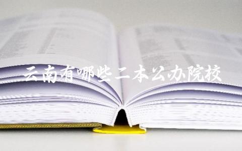 云南有哪些二本公办院校