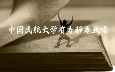 中国民航大学有专科专业吗