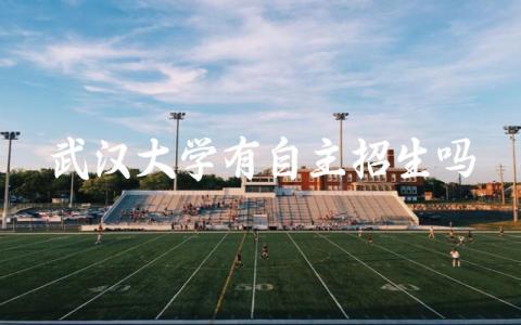 武汉大学有自主招生吗