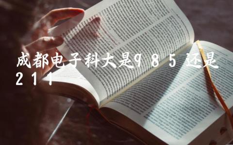 成都电子科大是985还是211