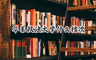 华东政法大学什么档次