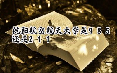 沈阳航空航天大学是985还是211