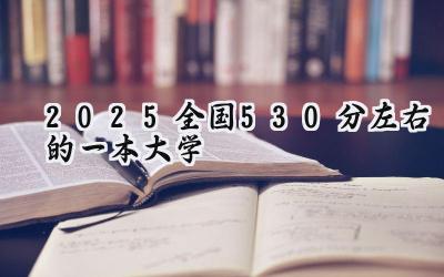 2025全国530分左右的一本大学