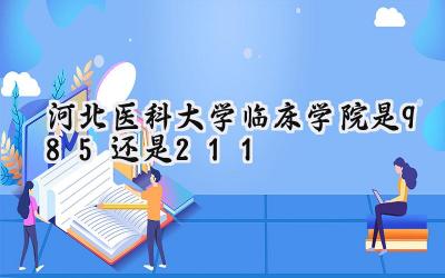 河北医科大学临床学院是985还是211