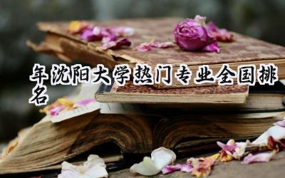 2024年沈阳大学热门专业全国排名