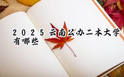 2025云南公办二本大学有哪些