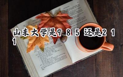 山东大学是985还是211