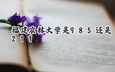 福建农林大学是985还是211