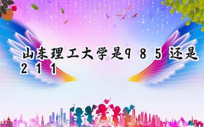 山东理工大学是985还是211