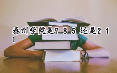 泰州学院是985还是211