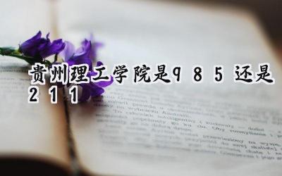 贵州理工学院是985还是211