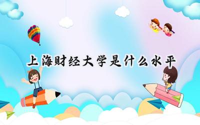 上海财经大学是什么水平