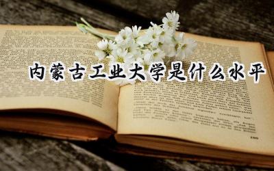内蒙古工业大学是什么水平