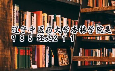 辽宁中医药大学杏林学院是985还是211