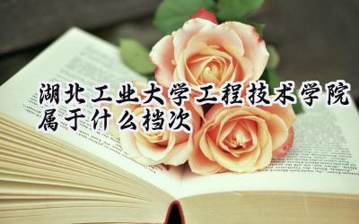 湖北工业大学工程技术学院属于什么档次