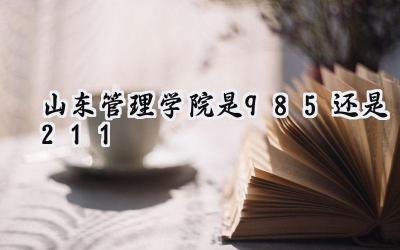 山东管理学院是985还是211