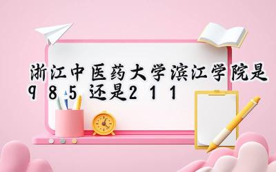 浙江中医药大学滨江学院是985还是211