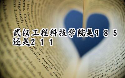 武汉工程科技学院是985还是211
