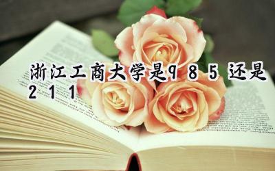 浙江工商大学是985还是211