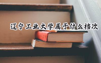 辽宁工业大学属于什么档次