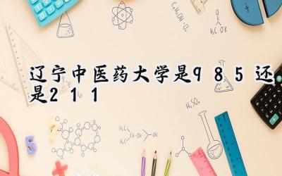 辽宁中医药大学是985还是211