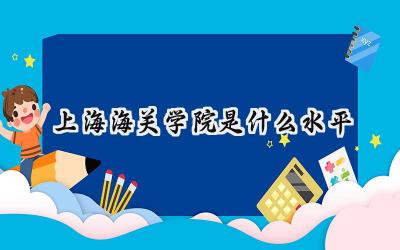 上海海关学院是什么水平