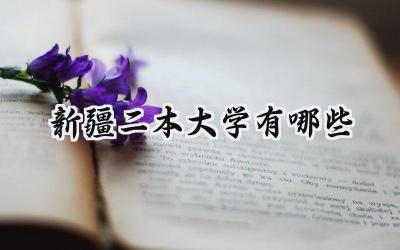 新疆二本大学有哪些