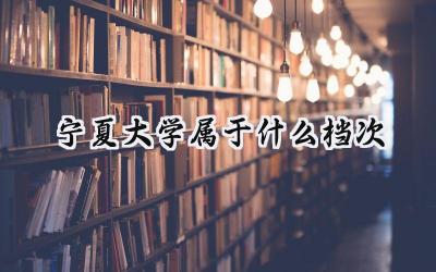 宁夏大学属于什么档次