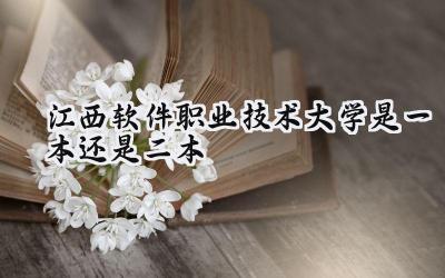 江西软件职业技术大学是一本还是二本