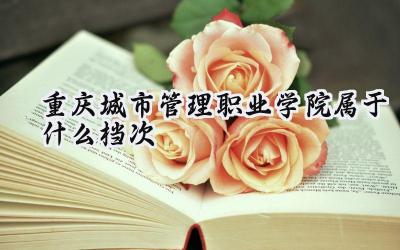 重庆城市管理职业学院属于什么档次