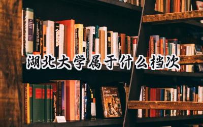 湖北大学属于什么档次