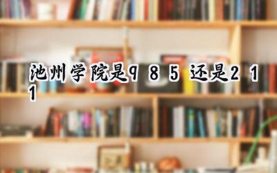 池州学院是985还是211