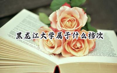 黑龙江大学属于什么档次