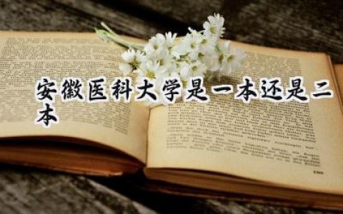 安徽医科大学是一本还是二本