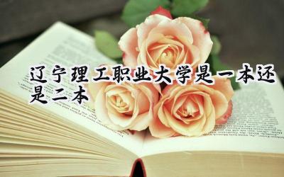 辽宁理工职业大学是一本还是二本