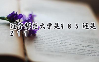 辽宁师范大学是985还是211