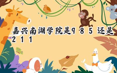 嘉兴南湖学院是985还是211