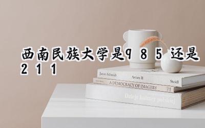 西南民族大学是985还是211