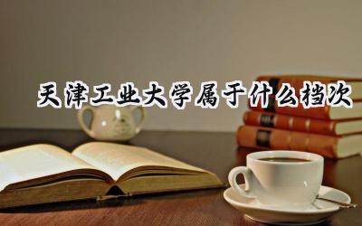 天津工业大学属于什么档次