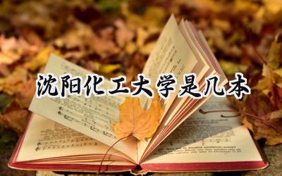 沈阳化工大学是几本