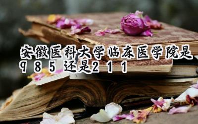 安徽医科大学临床医学院是985还是211
