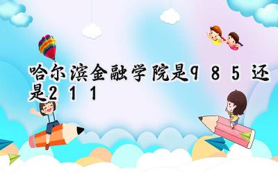 哈尔滨金融学院是985还是211