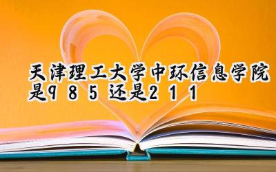 天津理工大学中环信息学院是985还是211