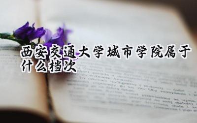 西安交通大学城市学院属于什么档次