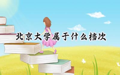 北京大学属于什么档次